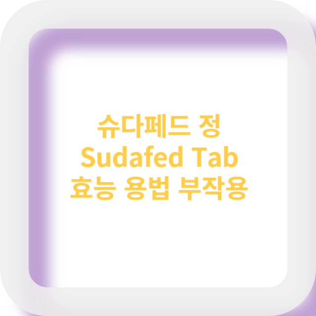 슈다페드-정-Sudafed-tab